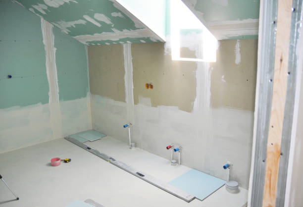 Best Crawl Space Mold Remediation  in Paw Paw Lake, MI