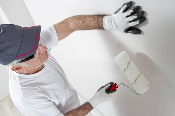 Best Mold Removal for HVAC Installations  in Paw Paw Lake, MI