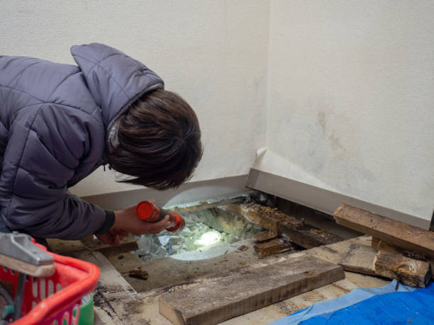 Best Mold Remediation for Healthcare Facilities  in Paw Paw Lake, MI