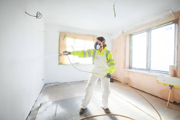 Best Asbestos and Lead Testing During Mold Inspection  in Paw Paw Lake, MI
