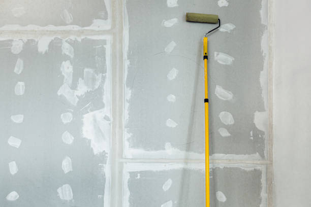 Best Biohazard Mold Removal  in Paw Paw Lake, MI