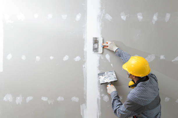  Paw Paw Lake, MI Mold Removal Pros