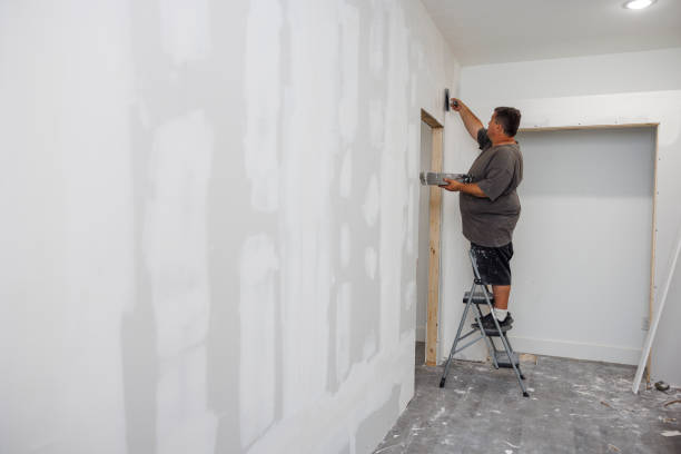 Best Real Estate Mold Inspection  in Paw Paw Lake, MI
