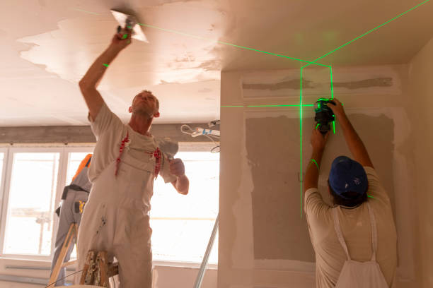 Best Post-Remediation Verification Testing  in Paw Paw Lake, MI