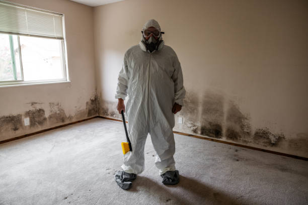 Mold Remediation for Rental Properties in Paw Paw Lake, MI