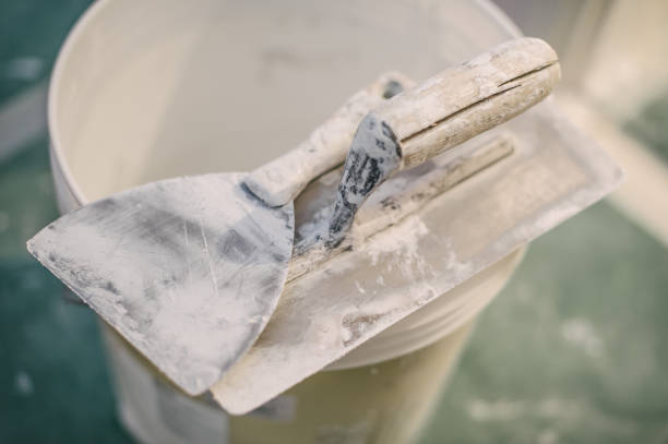 Best Post-Construction Mold Inspection  in Paw Paw Lake, MI
